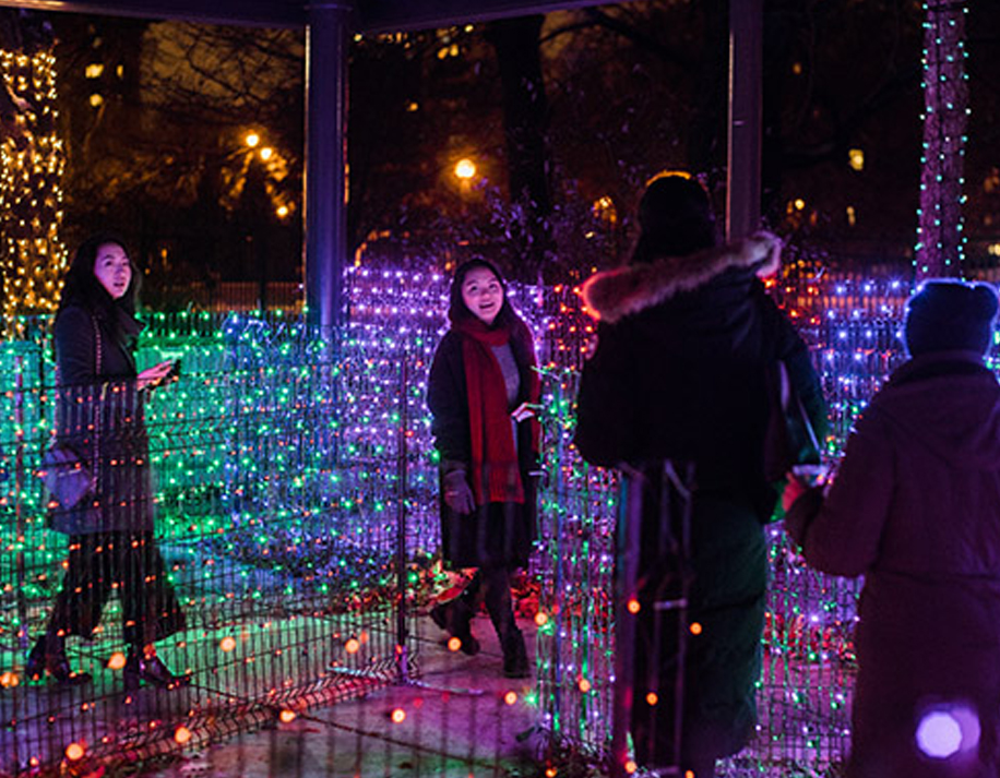 Zoo Lights at Lincoln Park Zoo