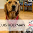 Meet Louis Boerman