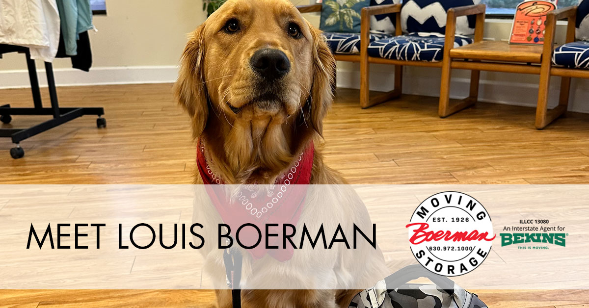 Meet Louis Boerman